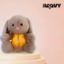 Pelúcia Coelho Alívio Ansiedade